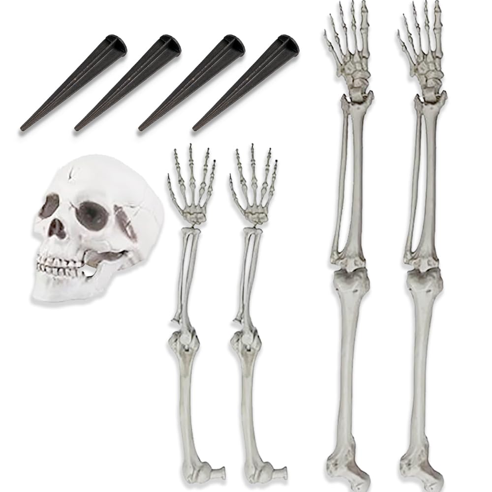 Life-Size Skeleton Halloween Decoration O79621
