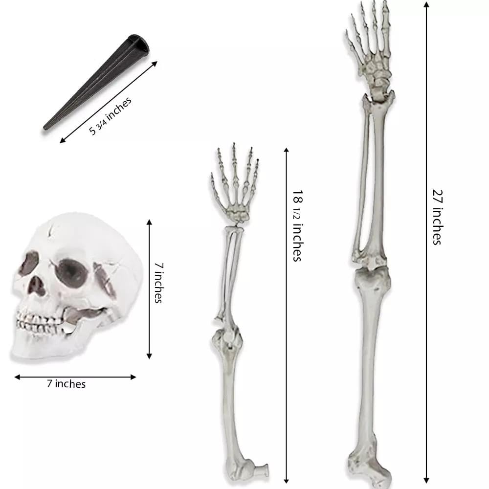 Life-Size Skeleton Halloween Decoration O79621