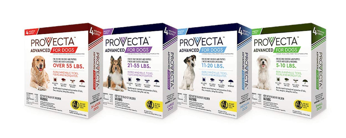 Small 5-10 lb Dog (Pack of 2) Q2006