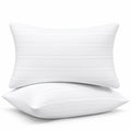 King Size Down Alternative Pillows Set of 2 P4038