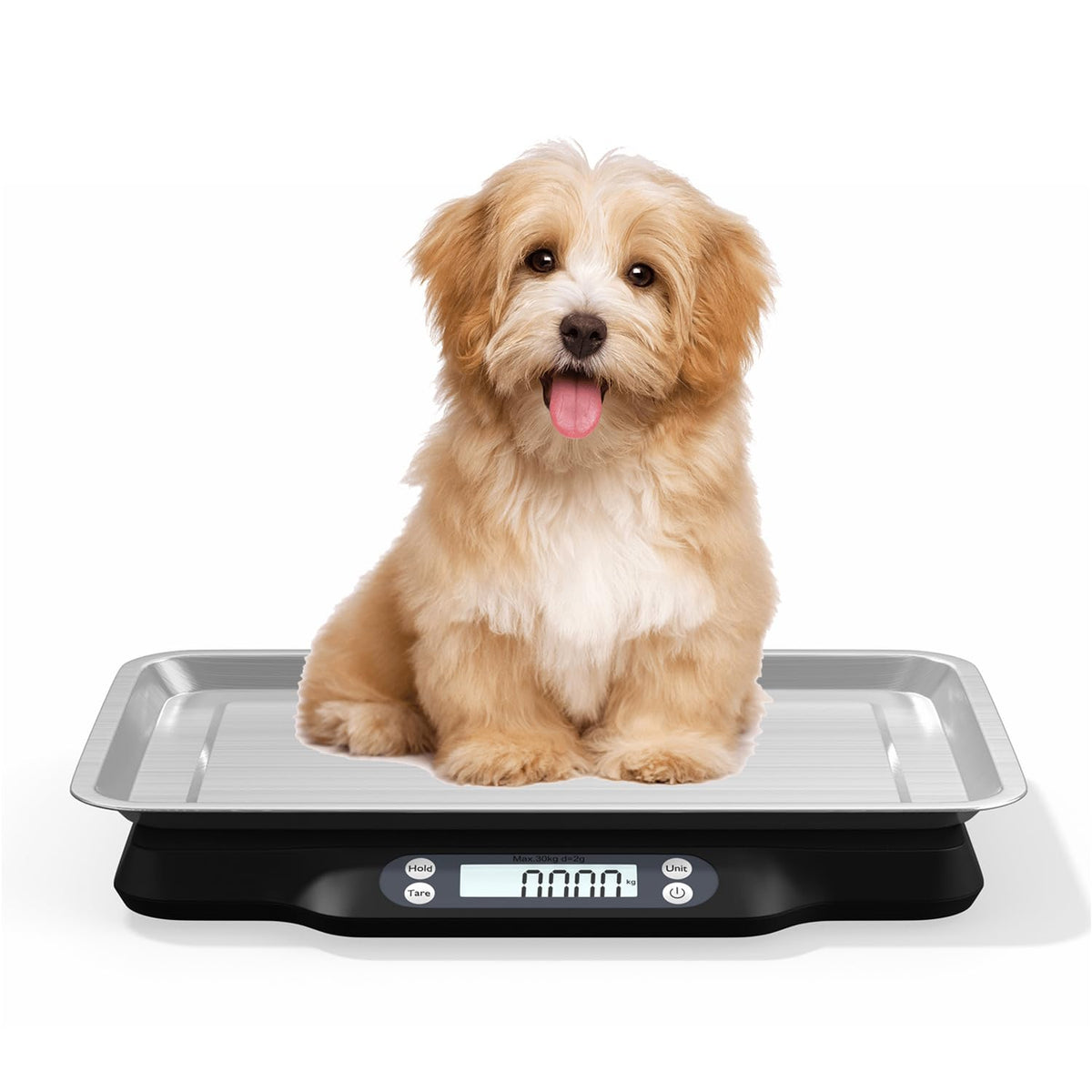 Digital Little Animal Precision Scale 30kg/2g R71384