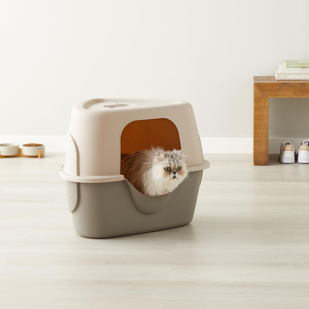 Charcoal Enclosed Cat Litter Box with Lid C8772