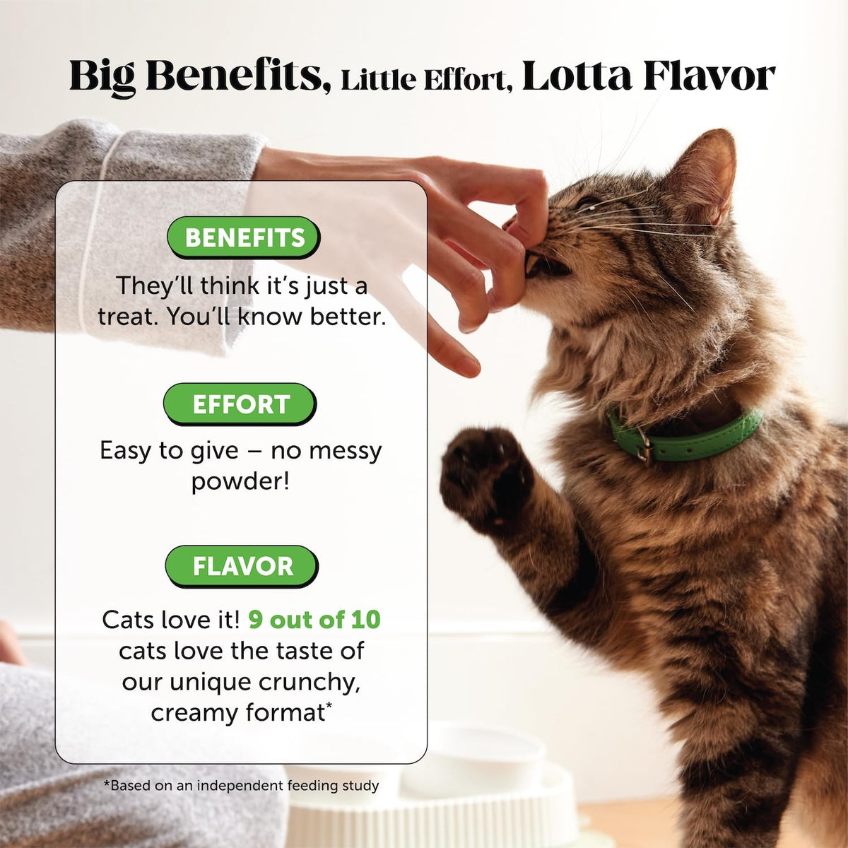 Chicken Cat Hairball Remedy Chews W3086
