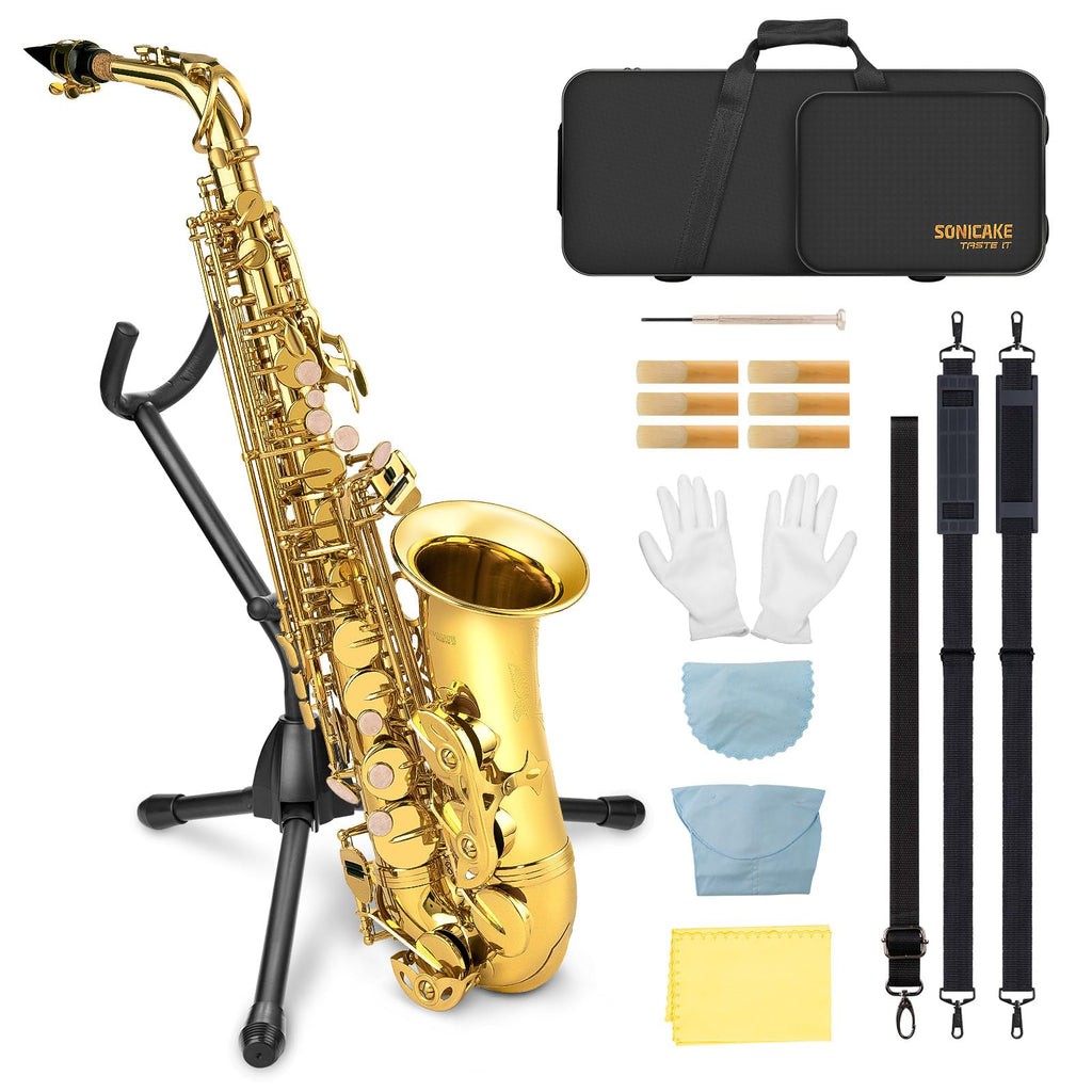 E Flat Alto Saxophone Full Kit P118