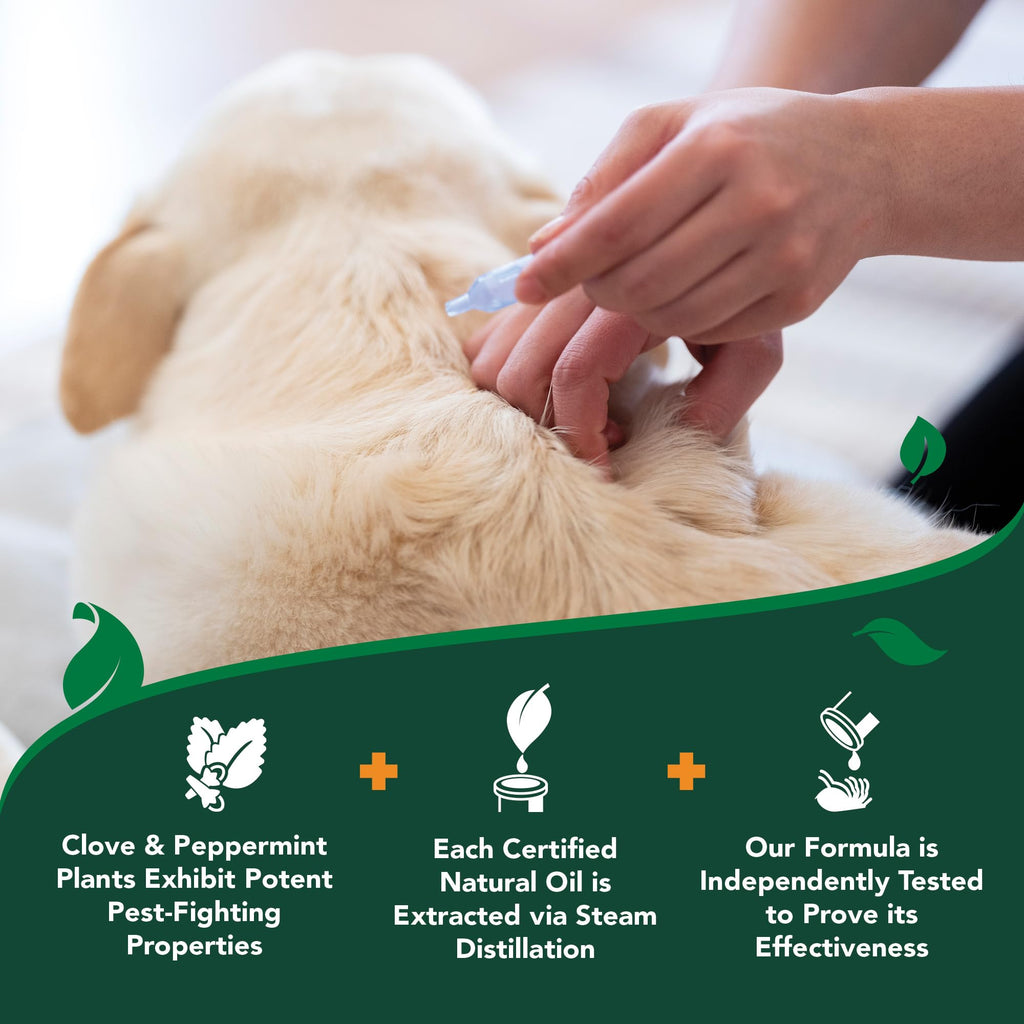 Flea & Tick Drops for Large Dogs V153