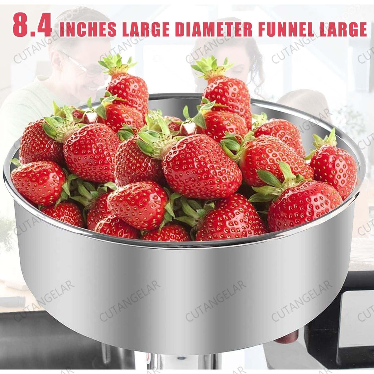 450W Automatic Stainless Steel Tomato Strainer V987532