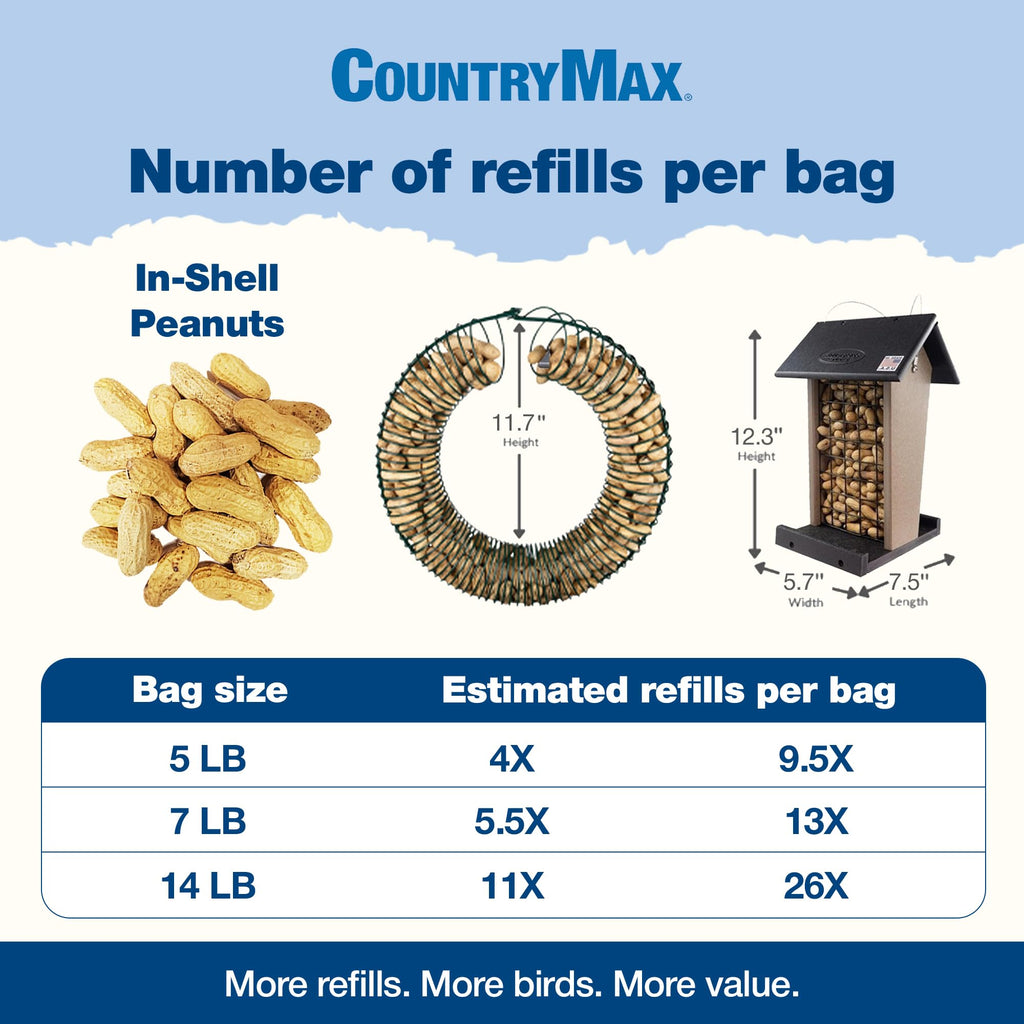 5LB In-Shell Raw Peanuts Y20929