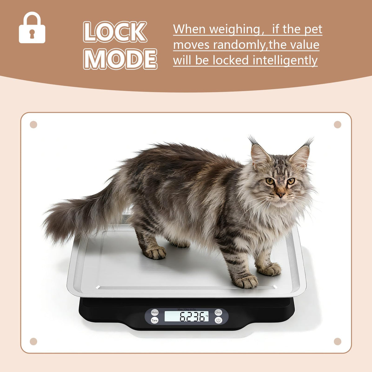 Digital Little Animal Precision Scale 30kg/2g R71384