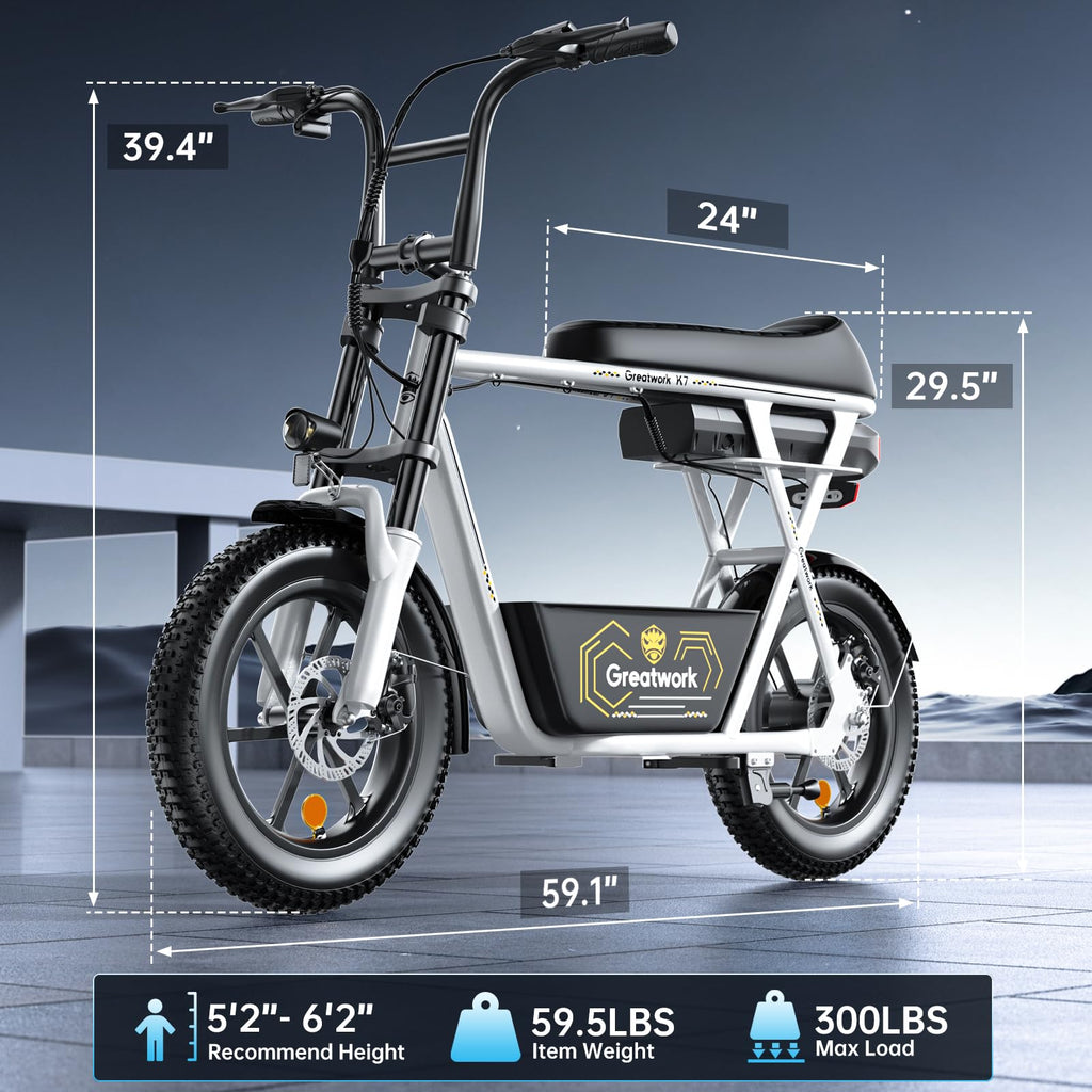 1500W Electric Scooter with Seat N369