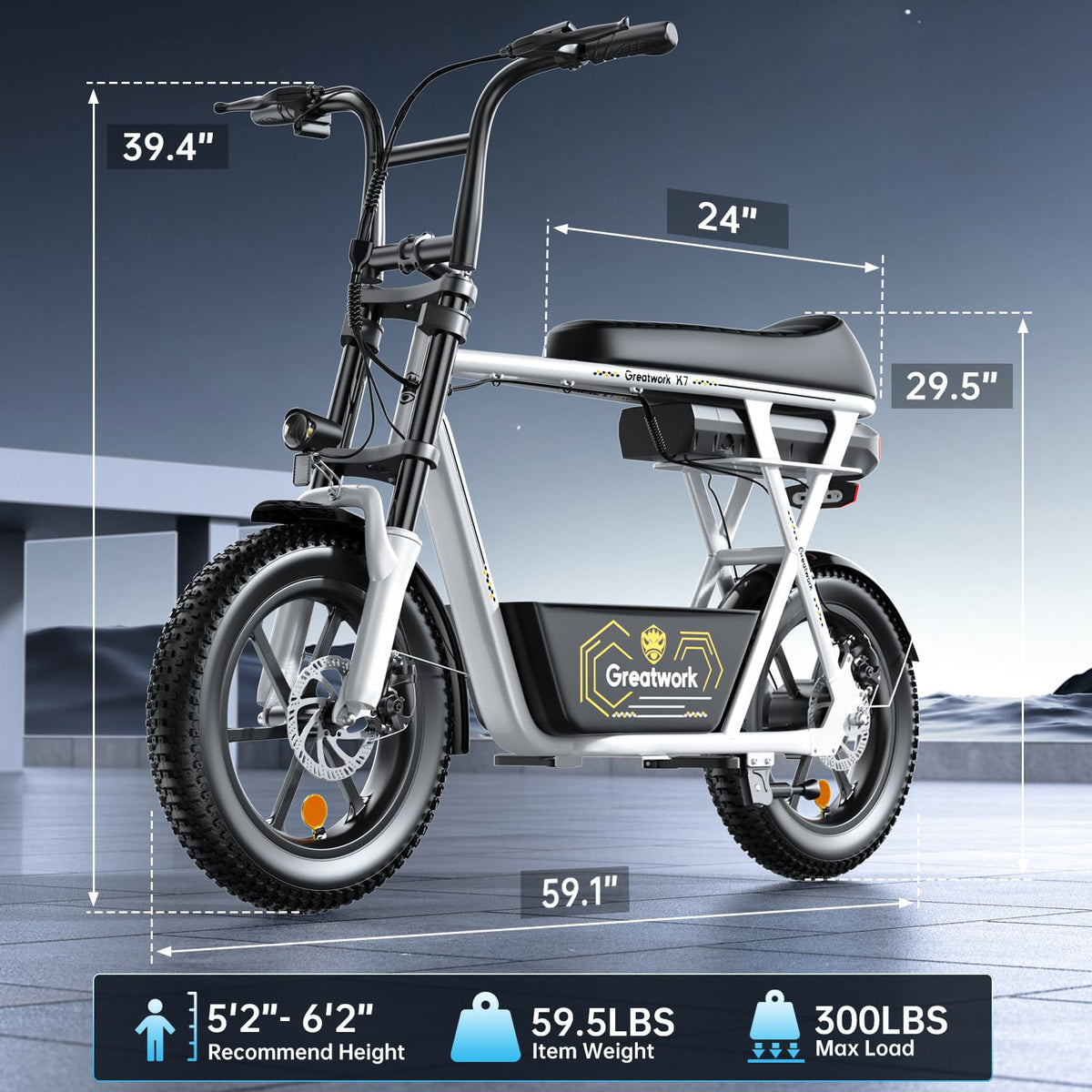 1500W Electric Scooter with Seat N369