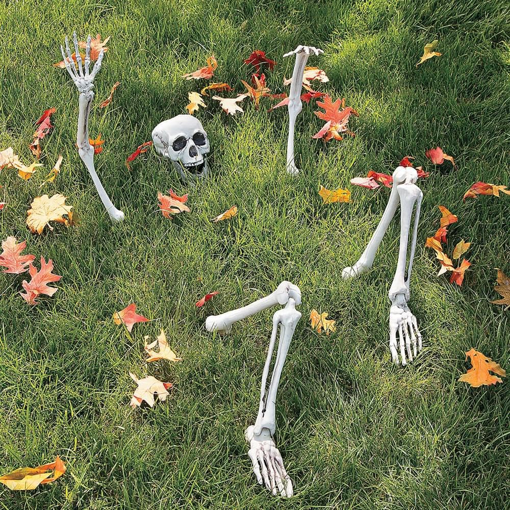 Life-Size Skeleton Halloween Decoration O79621
