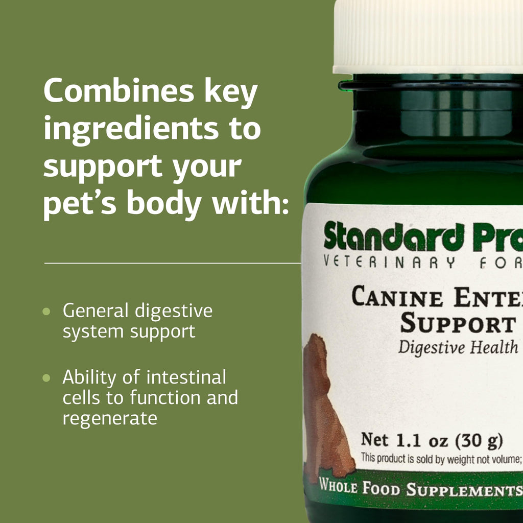 Canine Enteric Support 30 g K85754