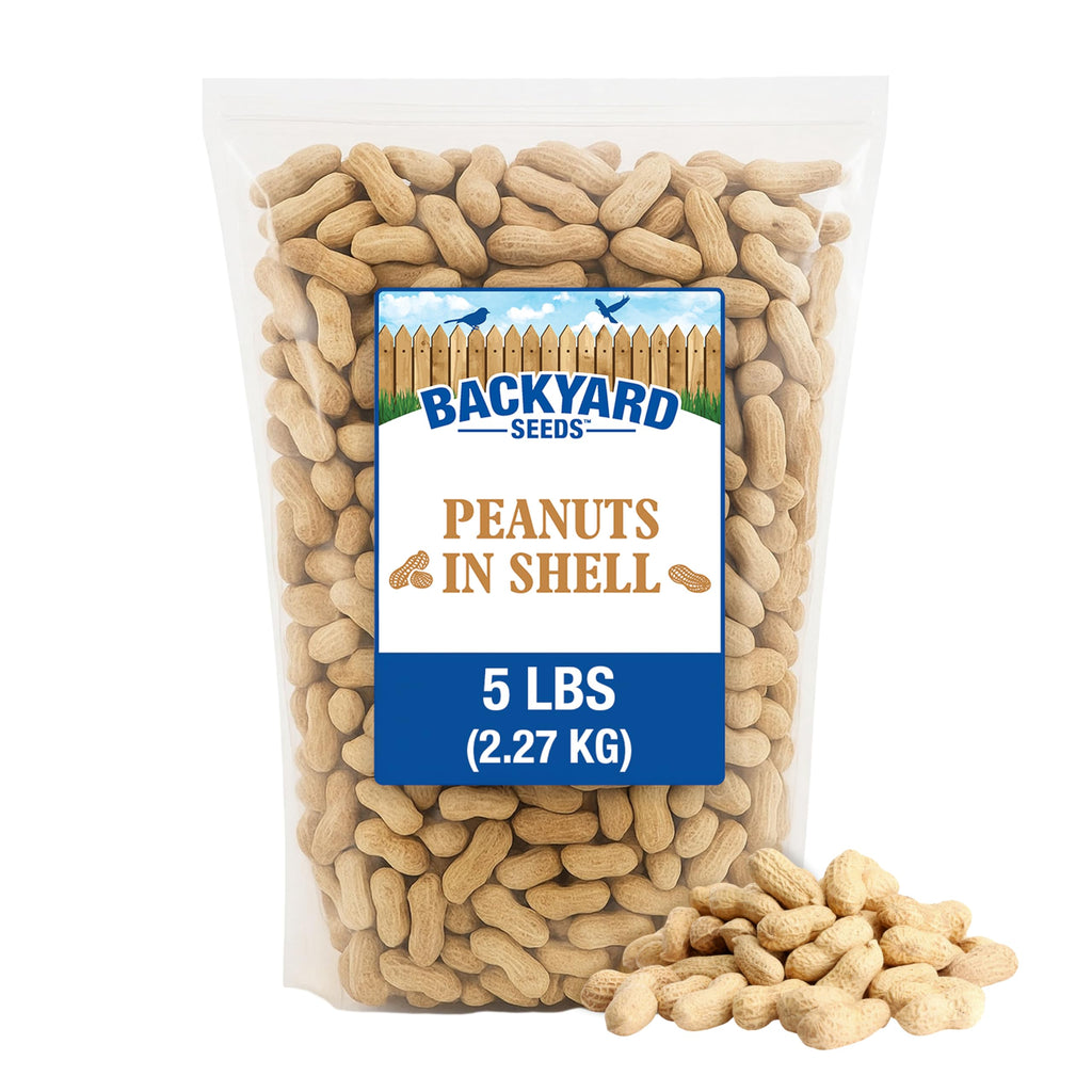 5LB In-Shell Raw Peanuts Y20929