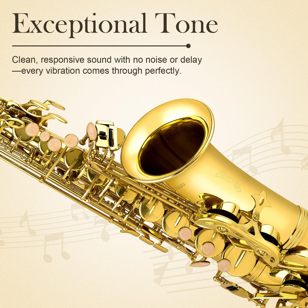 E Flat Alto Saxophone Full Kit P118