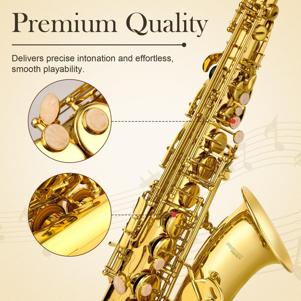 E Flat Alto Saxophone Full Kit P118