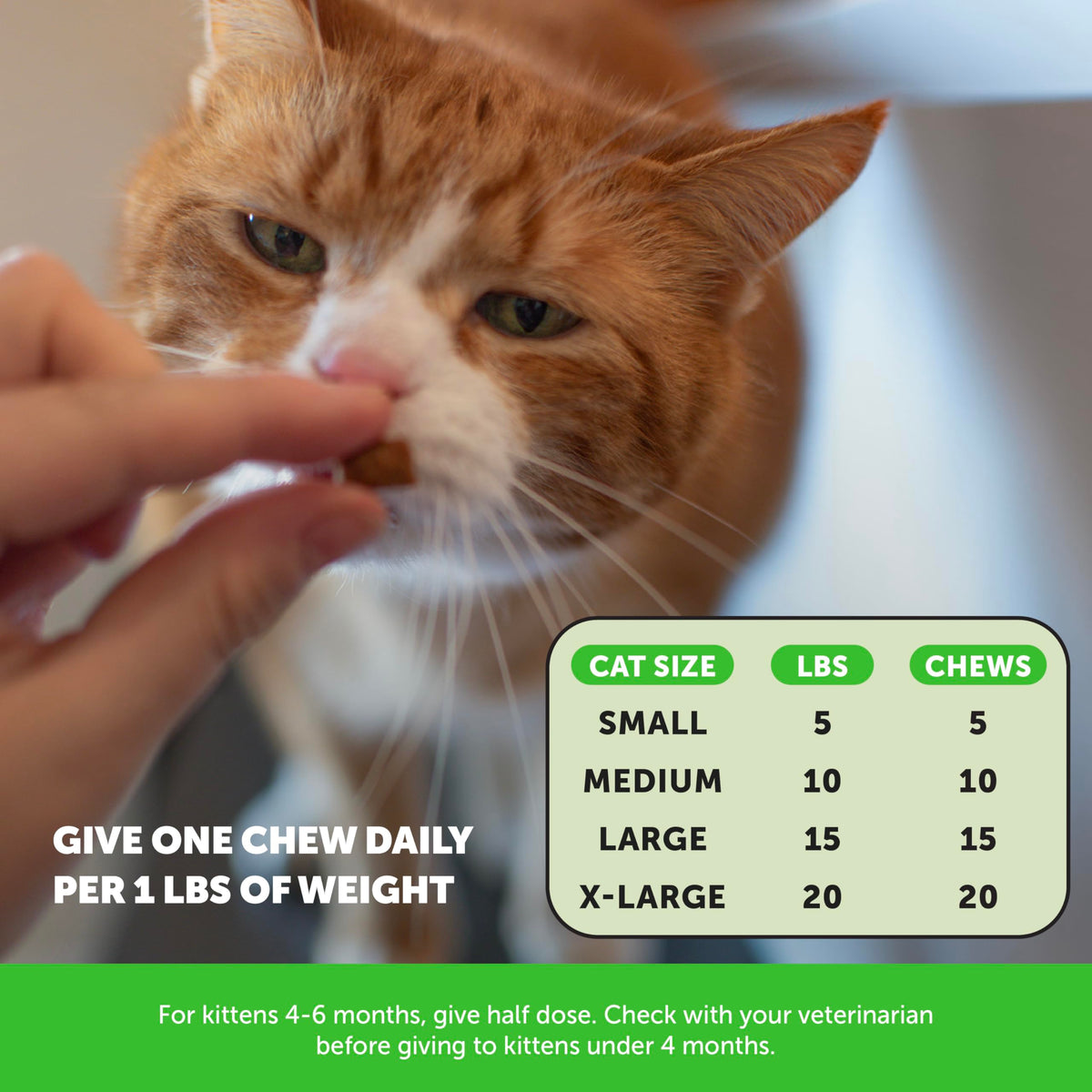 Chicken Cat Hairball Remedy Chews W3086