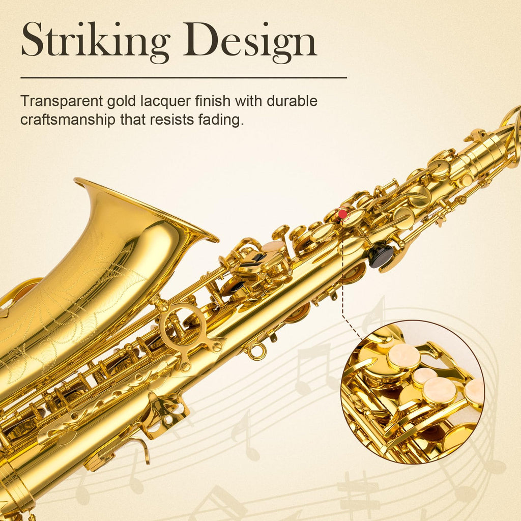 E Flat Alto Saxophone Full Kit P118