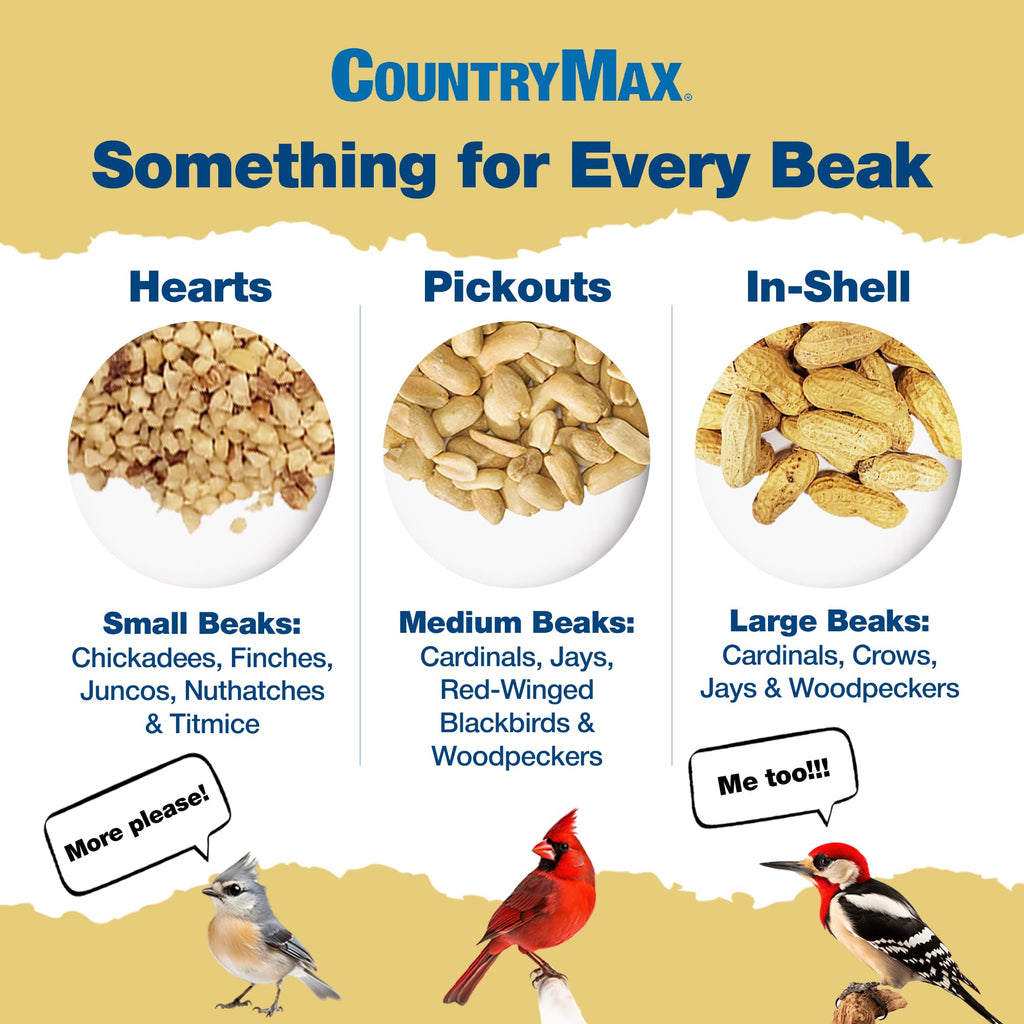 5LB In-Shell Raw Peanuts Y20929