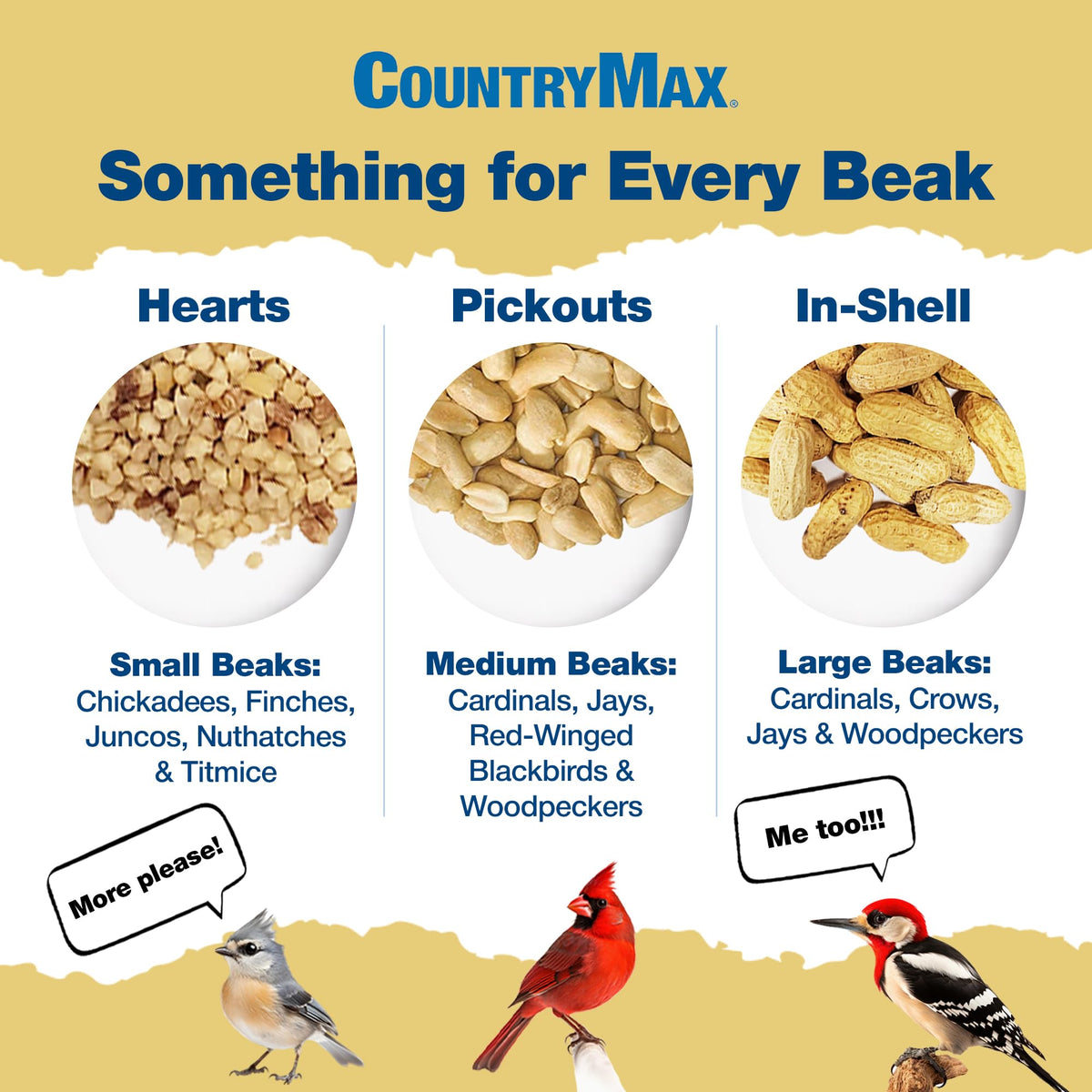 5LB In-Shell Raw Peanuts Y20929