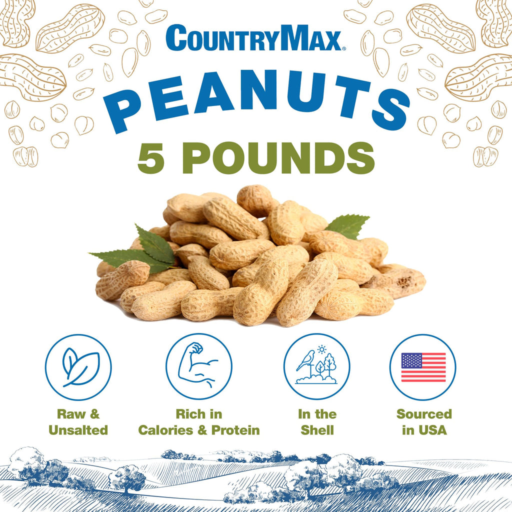 5LB In-Shell Raw Peanuts Y20929