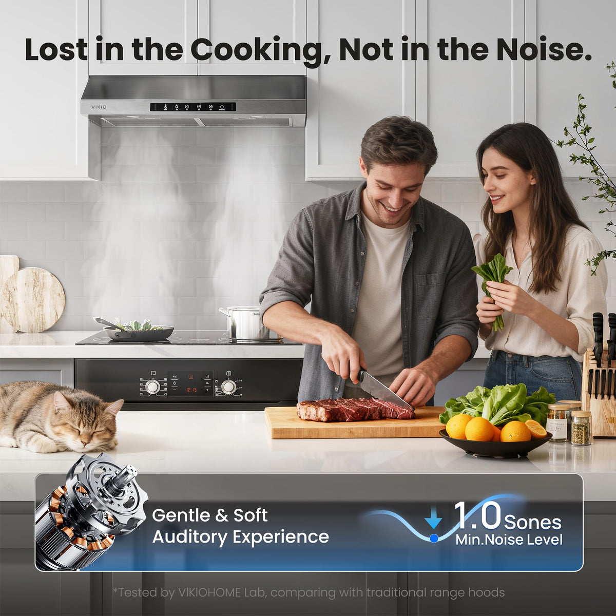 30 Inch Under Cabinet Range Hood 900 CFM Dual Motor A101