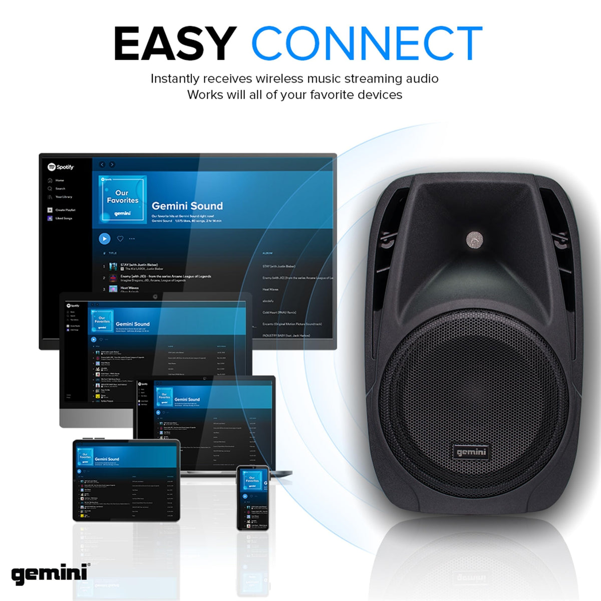 Portable PA System with Dual 10" Speakers C972803