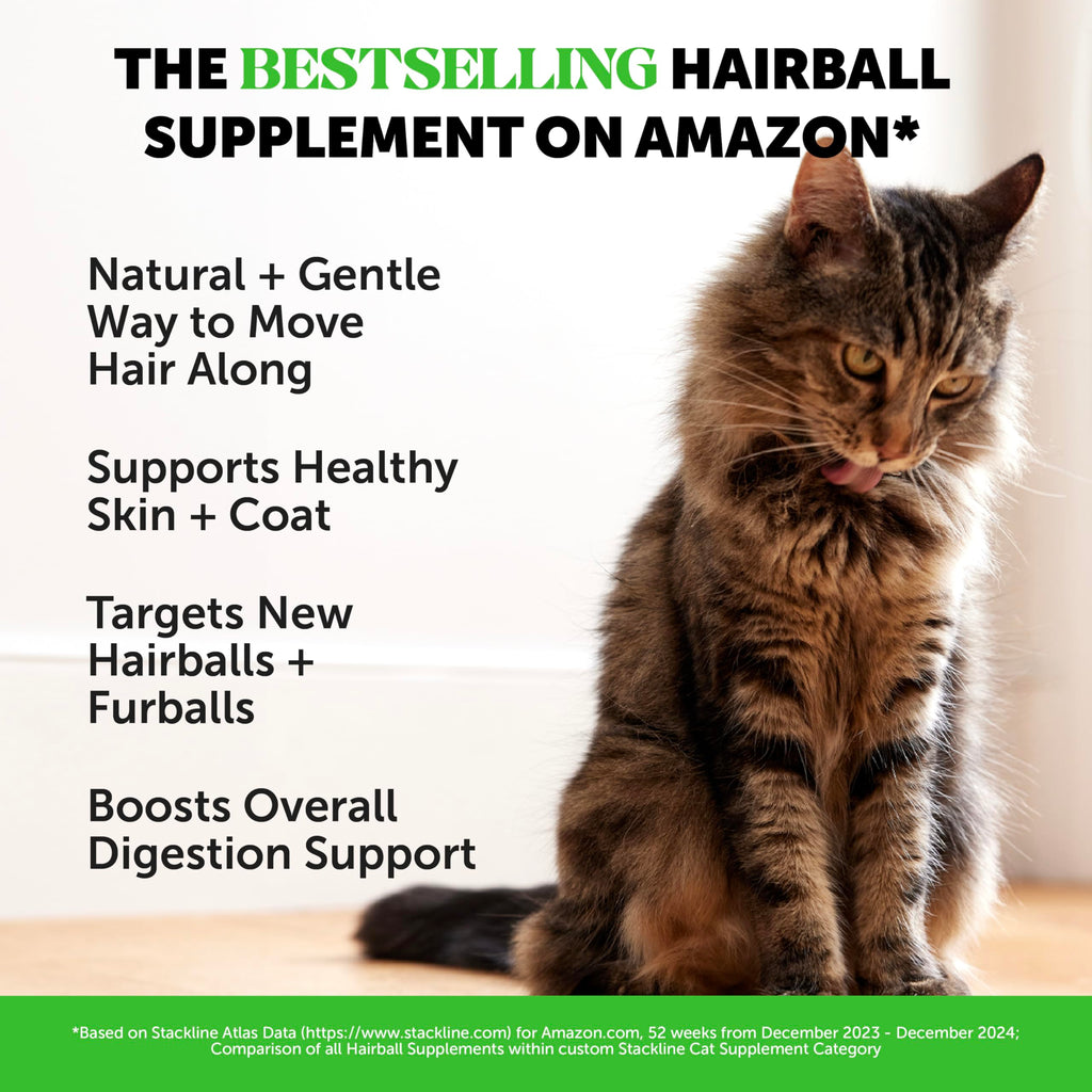 Chicken Cat Hairball Remedy Chews W3086