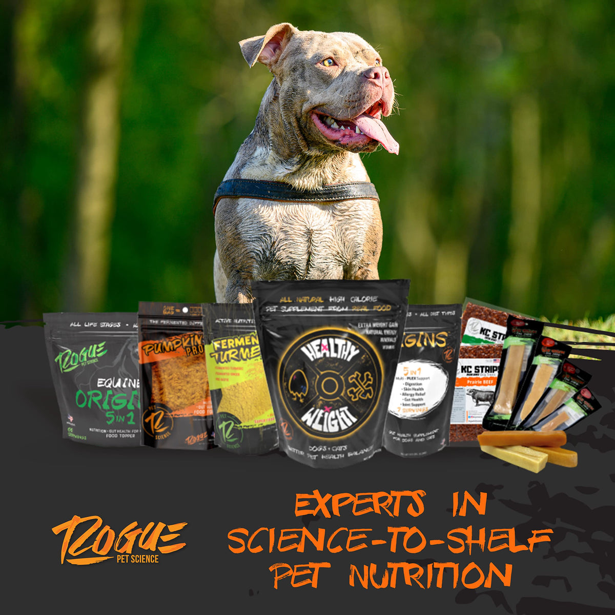 Large-Dog Bundle with 5-in-1 Dog-Food Topper and Weight Gainer U98003