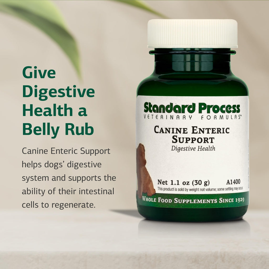 Canine Enteric Support 30 g K85754