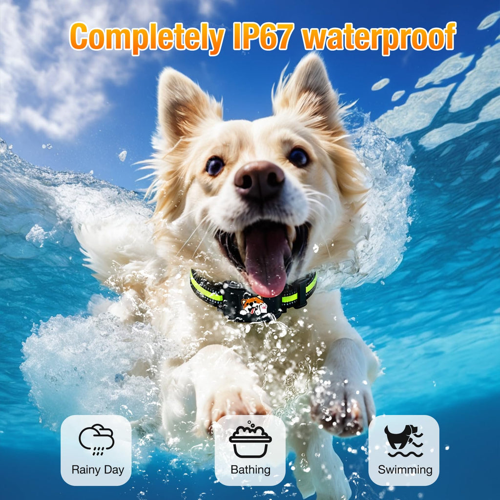 Wireless Dog Fence System with Training Collar F634