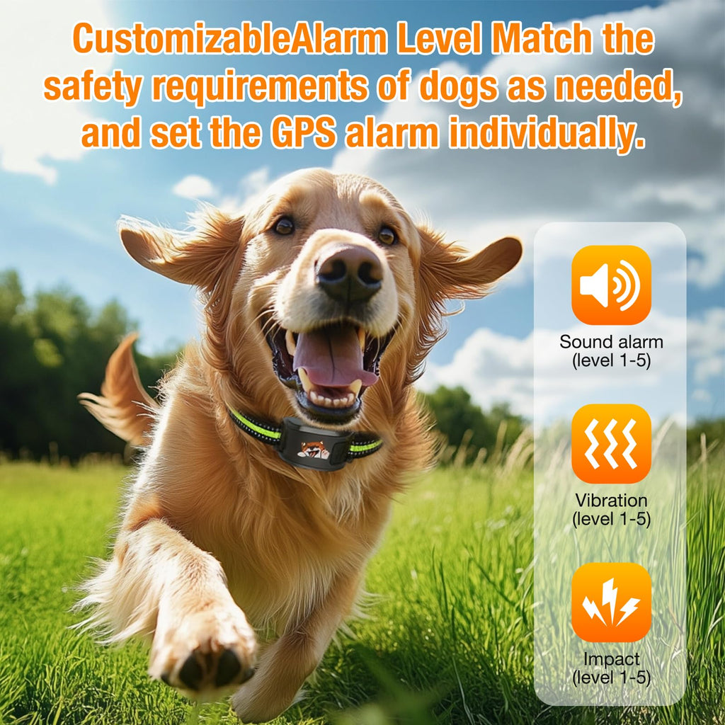 Wireless Dog Fence System with Training Collar F634