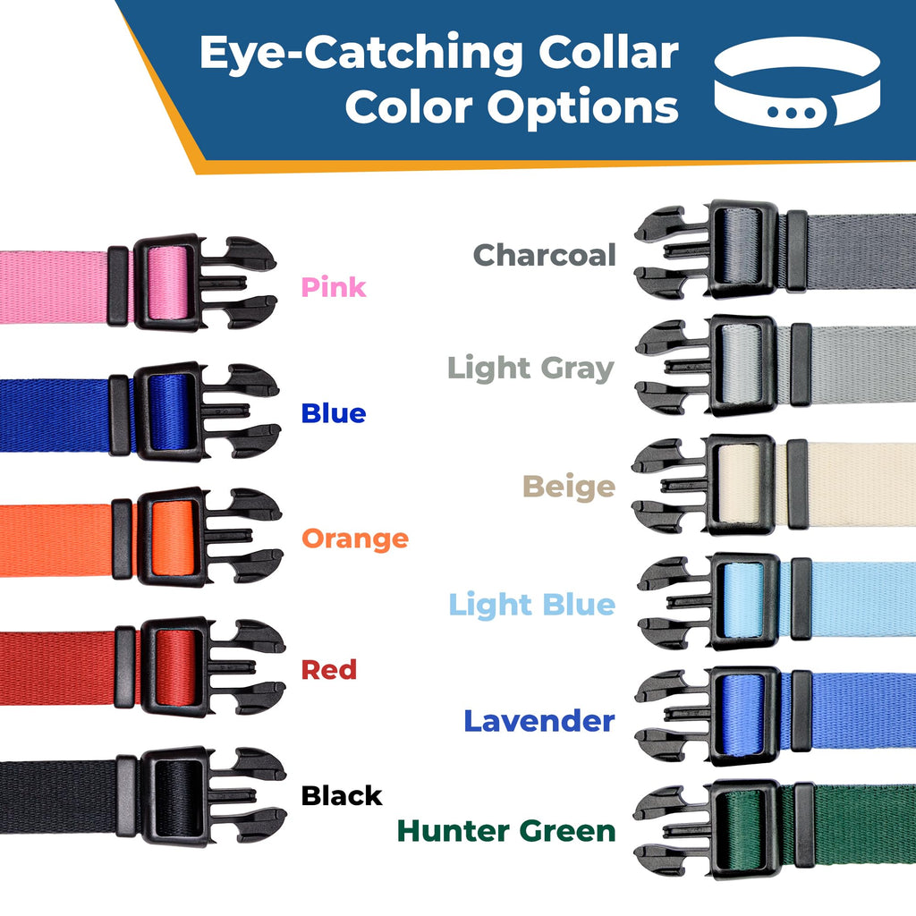 Personalized Dog Collar D93570