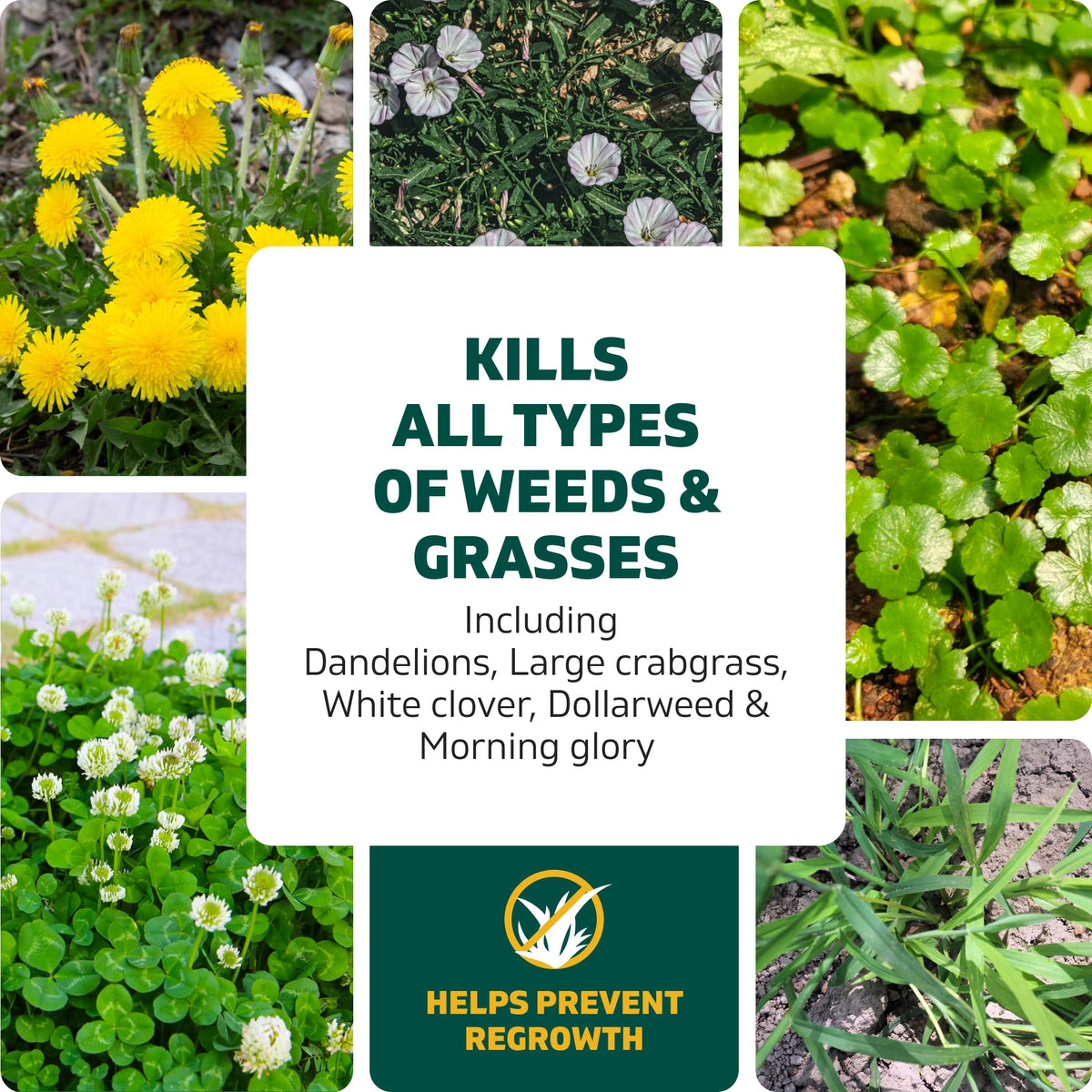 Weed & Grass Killer Kit, 64 Oz T66717