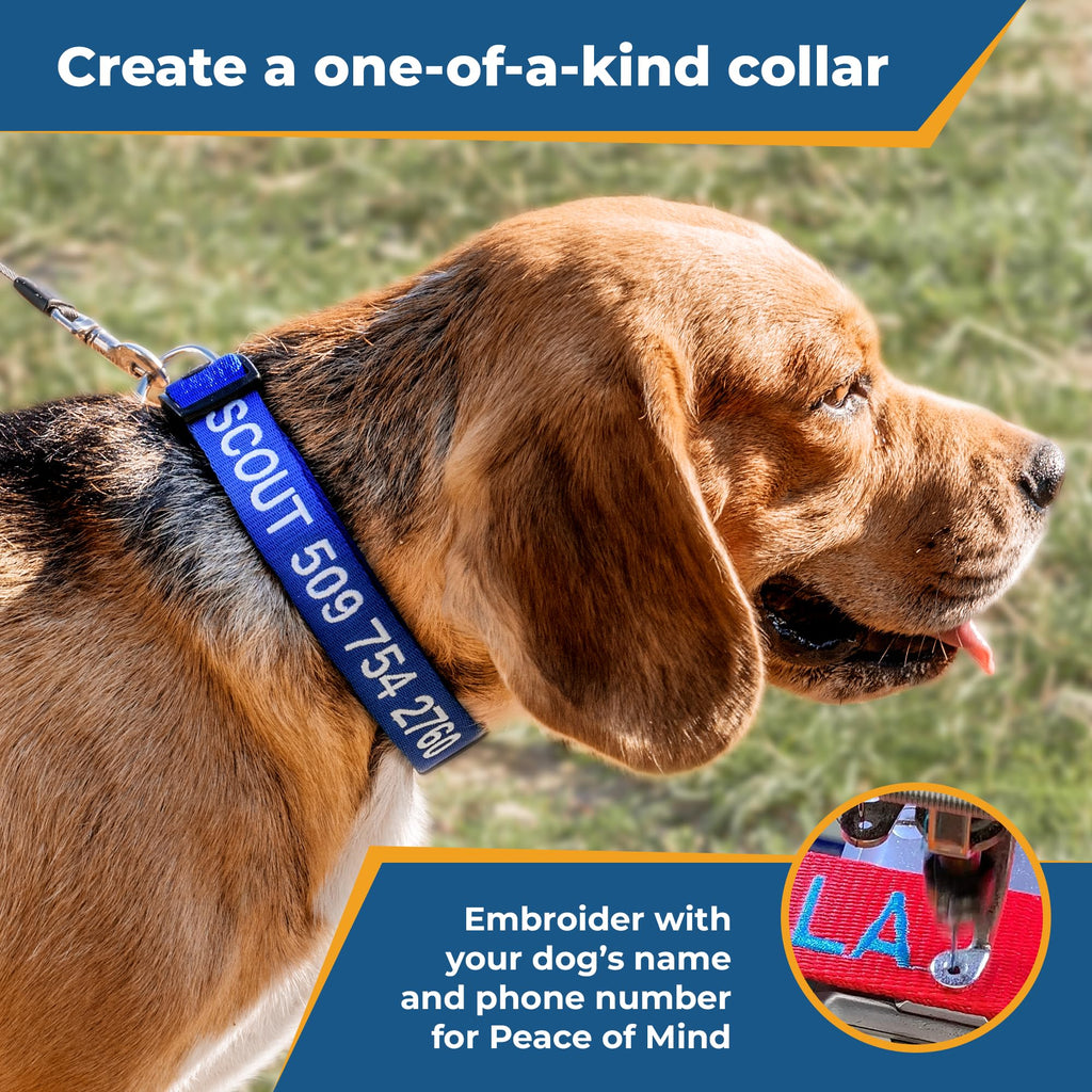 Personalized Dog Collar D93570
