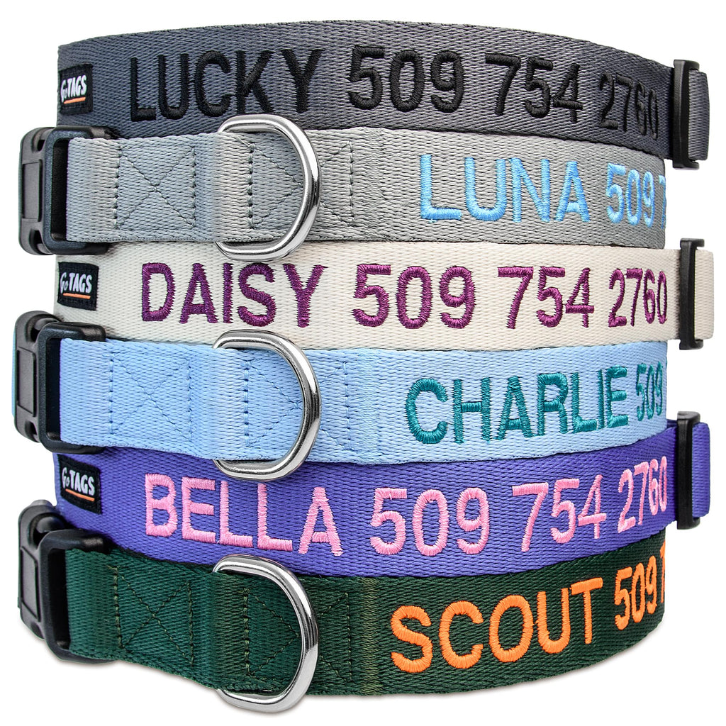 Personalized Dog Collar D93570