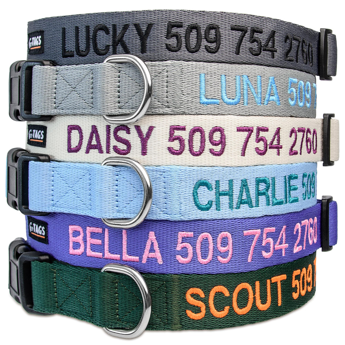 Personalized Dog Collar D93570